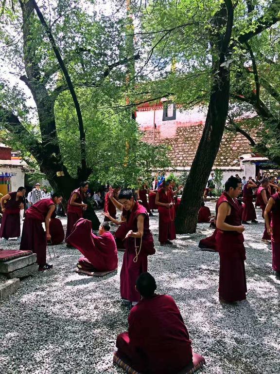 Yingxiang Guesthouse Lhasa Eksteriør billede